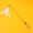 White, variant on Cat Feather Wand Toy with Natural Wooden Handle, 20" Long Flexible Wire Interactive Cat Teaser with Bell and Replacement Feathers for Indoor Cats & Kittens
