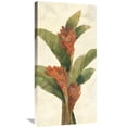 thumbnail image 1 of Global Gallery Albena Hristova 'Ginger Blossom on White' Canvas Wall Art, 1 of 4