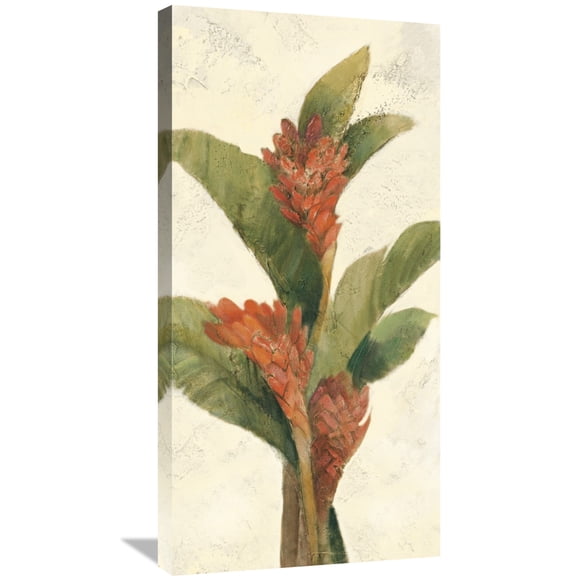 Global Gallery Albena Hristova 'Ginger Blossom on White' Canvas Wall Art