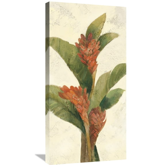Global Gallery Albena Hristova 'Ginger Blossom on White' Canvas Wall Art