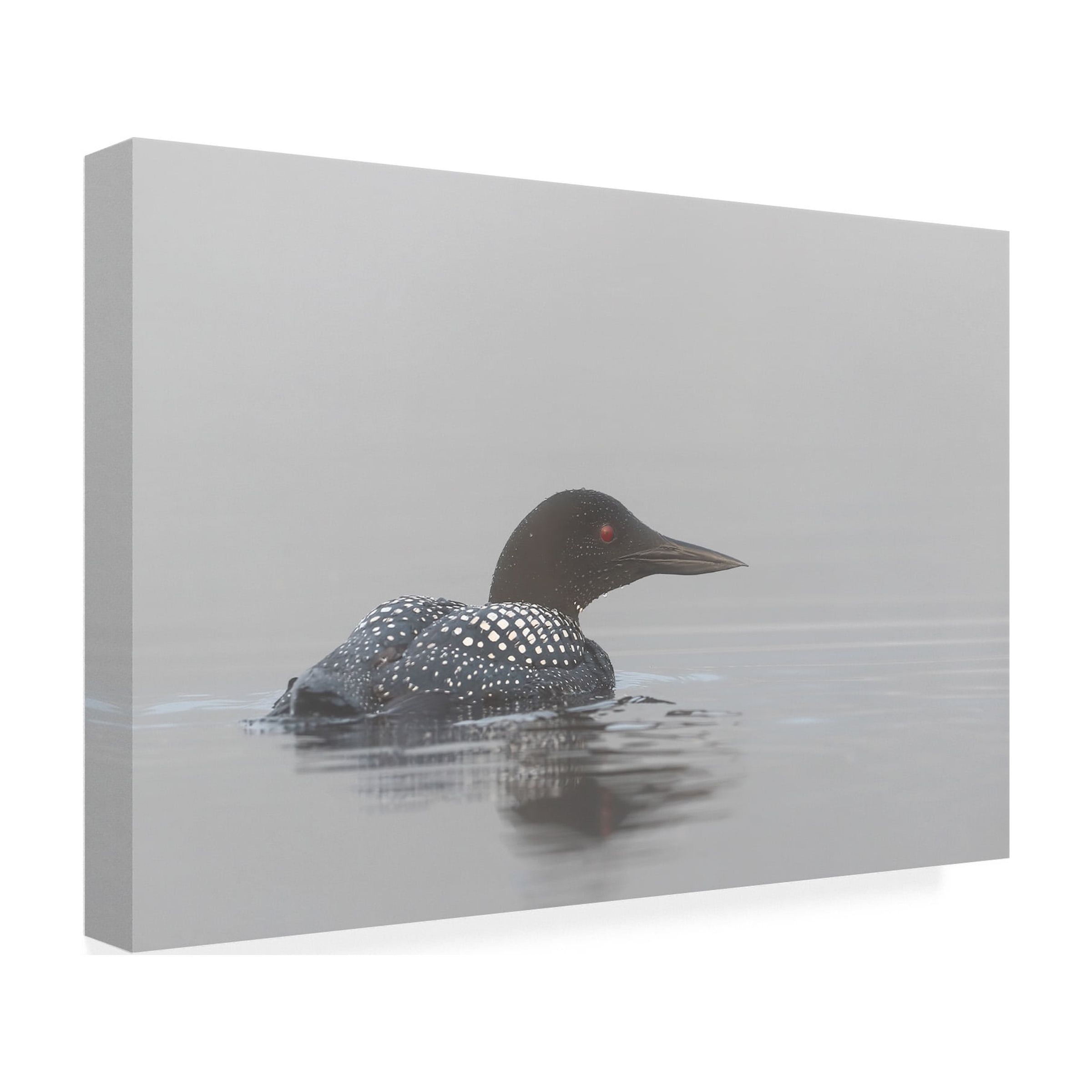 Jim Cumming 'Common Loon In Early Morning Fog' Canvas Art