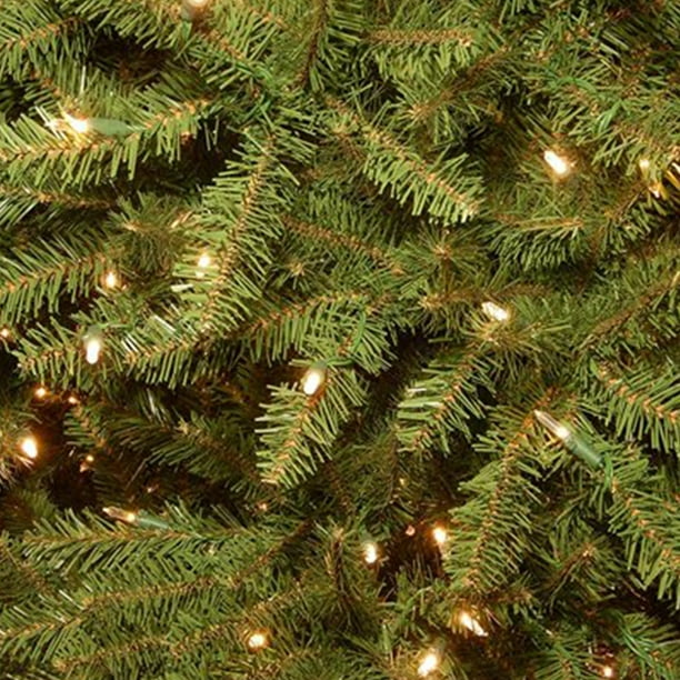 Dunhill fir 2024 christmas tree