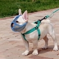thumbnail image 2 of SUTENGDA Short Snout muzzle Dog Grooming Tools Adjustable for Anti Biting Pink S, 2 of 8