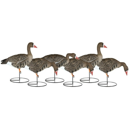 Dakota Decoys X-treme Specklebelly Goose Decoys 6PK