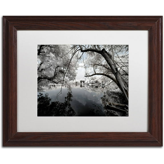 Trademark Fine Art "White Foliage" Canvas Art by Philippe Hugonnard, White Matte, Wood Frame