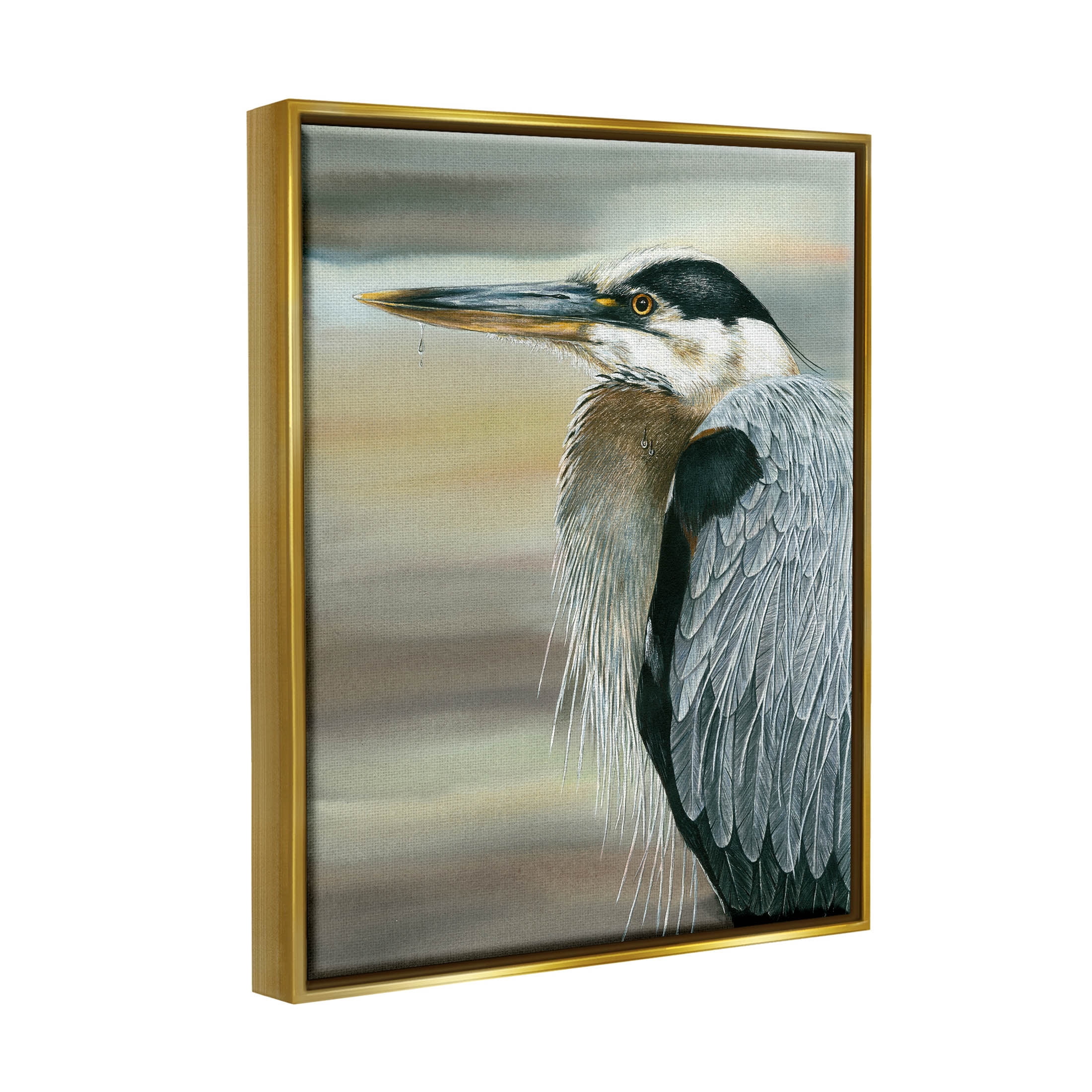 Heron Bird Feather Portrait Animals & Insects Graphic Art Metallic Gold Framed Art Print Wall Art