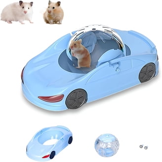 Kaytee, Run About Ball, Oefenbal En Speelgoed Voor Ratten, Chinchilla's En Andere Kleine Dieren, 29,2 Cm Diameter, Kleur Kan Variëren