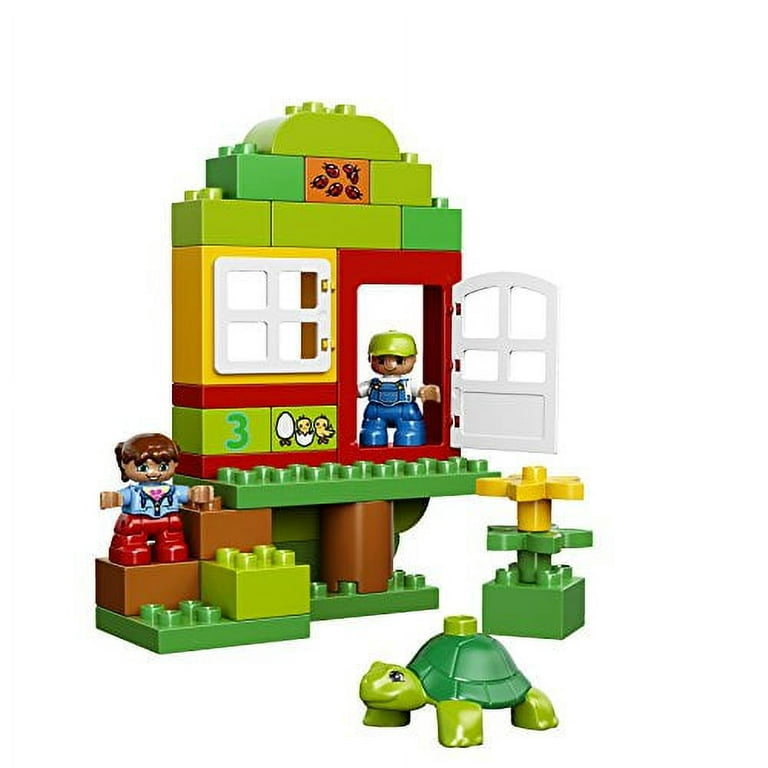 LEGO DUPLO All-in-One-Box-of-Fun Building Kit 10572 Open Ended Toy for  Imaginative Play with Large Bricks Made for Toddlers and preschoolers (65