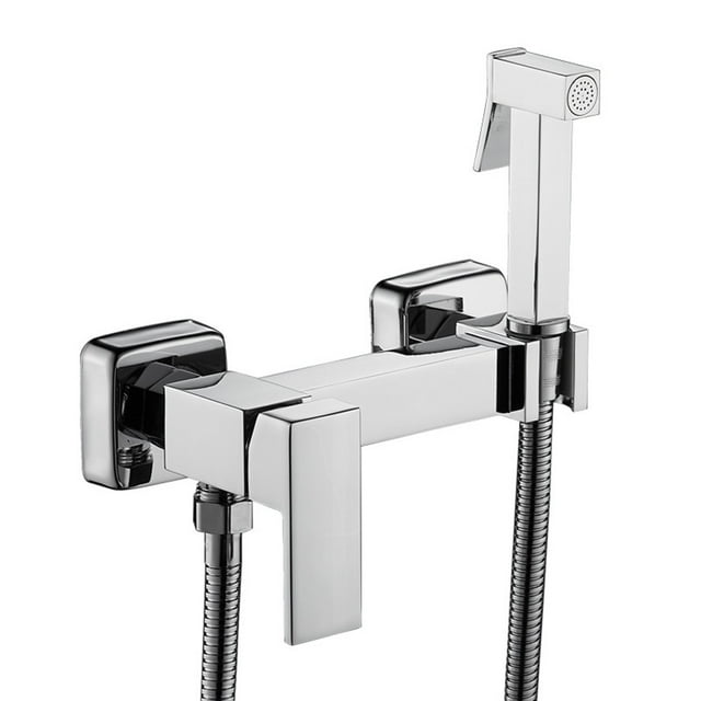 Douchette Toilette Bidet Tête de Douche Suspendue Tuyau Poignée Unique Laiton Valve d'Angle