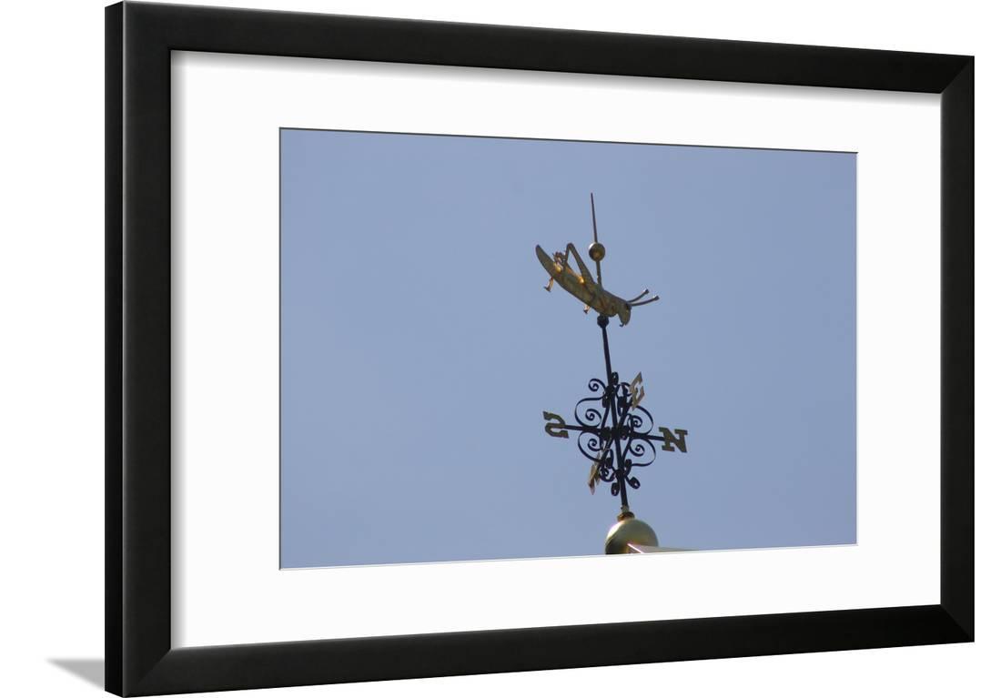 Gilded Weathervane on Faneuil Hall Framed Print Wall Art
