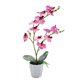 thumbnail image 1 of Flor falsa phalaenopsis bonsái de escritorio, pequeña planta de decoración, flor artificial, planta verde artificial, 1 of 5
