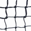 Edwards 1234398 Outback Double Center Net