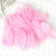 thumbnail image 2 of 50 Pieces Set Natural Colorful DIY Feather Craft Toy Pluma Natural de Animal Material Manual DIY Decoración Juguete para Niños, 2 of 2