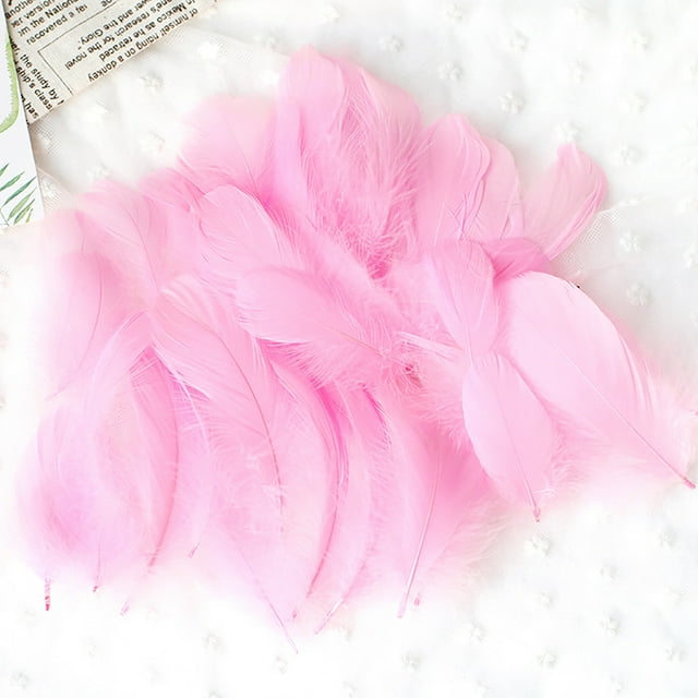 50 Set Natural Colourful DIY Feather Craft Toy for Kids - Manual Decoration Material for Animal Crafts