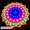 4randomplug, variant on LED Lantern Peacock Light Love Shape Five-pointed Star Sun Light String Room Christmas Wedding Party Plug-in Decorative Lighting