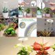 thumbnail image 2 of 2X Luz de Cultivo, Luz LED de Espectro para Plantas de Interior, Luz de Cultivo de Ajustable para el Crecimiento de Flores y Plantas Bonsái, 2 of 5
