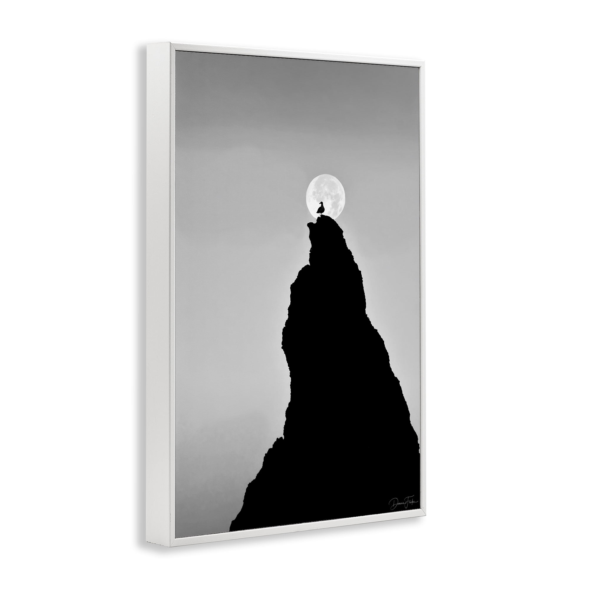 Stupell Industries Bird Silhouette on Peak Landscape Photography White Framed Art Print Wall Art, 12 x 18