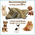 thumbnail image 6 of Deluxe Naturals 6-Pack Small Whole Elk Antler Dog Chews, Natural Long-Lasting Chew Treat for Small Dogs, 6 of 10