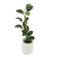 thumbnail image 2 of 1/ En s Modelo De Plantas Accesorios De Decoración De Jardín UNA Yotijar Plantas de miniaturas de casas de muñecas, 2 of 5