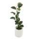 thumbnail image 3 of 2-6pcs 1:12 Casa De Muñecas Miniaturas Plantas De árboles En Macetas Brasiletto Adorno 4pcs 4 piezas Sunnimix Plantas de miniaturas de casa de muñecas, 3 of 8