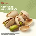 thumbnail image 6 of NY SPICE SHOP Pistachios Unsalted In Shell - 1 Pound - Raw Pistachios - Plain Pistachios - Whole Pistachios in Shell, 6 of 7