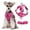 Hot Pink, variant on Hiroekza Dog Harness and Leash Set No Pull Soft Breathable Mesh Pet Harness Reflective Adjustable Puppy Vest for Small Medium Large Dogs Cats Hot Pink