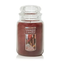 Yankee Candle Autumn Daydream Original Large Scented Jar Candle, 22 oz