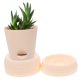 thumbnail image 5 of unbranded 10Ud Reutilizables De Plástico Para Plantas Con Redondo Para Uso En Hogar, 5 of 8