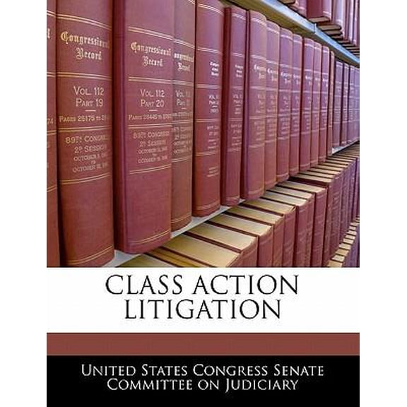 Class Action Litigation Paperback