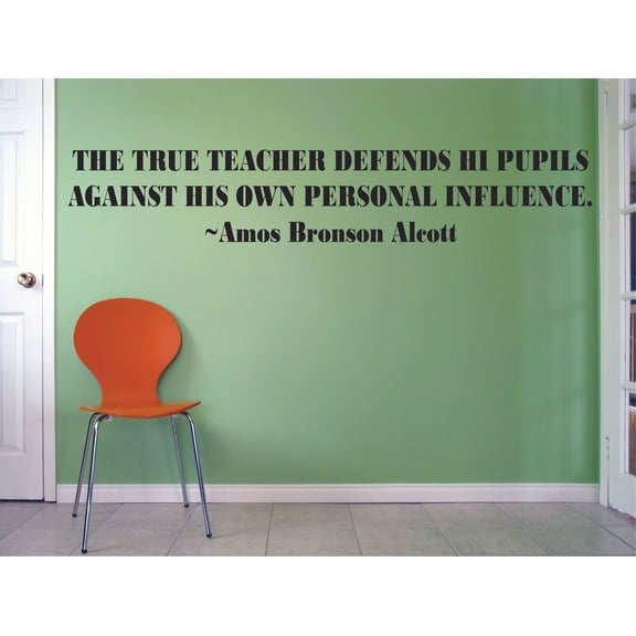 A True Teacher Defends Education Educational Classroom Quote for Teachers Students School Room Kindergarten Nursery Library Bedroom Home Decoration Murals Decals Wall Art Vinyl Art Size (12x20 inch)