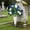D, variant on Cemetery Flowers for Grave,Grave Decorations for Cemetery,Artificial Cemetery Flowers,20*12IN Grave Memorial Flowers with Vase(C)