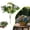 C, variant on Artificial Butterfly Flower Arrangement 11.4 Inch 3D Faux Floral Spray For Wedding Aisle Stage Event Decor