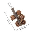thumbnail image 4 of PTOOTP Parrot Chewing Toy Natural Pine Cone 1Pack for Chewing Time and Play, 4 of 5