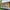 Clear, variant on Clear Waterproof Tarps Heavy Duty Outdoor Garden Rainproof Covering,Clear Vinyl Tarp with Grommets,Transparent Waterproof Tarpaulin for Covering Henhouse Porch Canopy Plant Camping