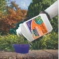 thumbnail image 3 of Bonide 148 16 oz Bottle of Infuse Systemic Plant Disease Control Concentrate, 3 of 8