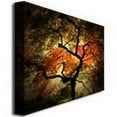 thumbnail image 2 of Trademark Art "Japanese I" Canvas Art by Philippe Sainte-Laudy, 2 of 3