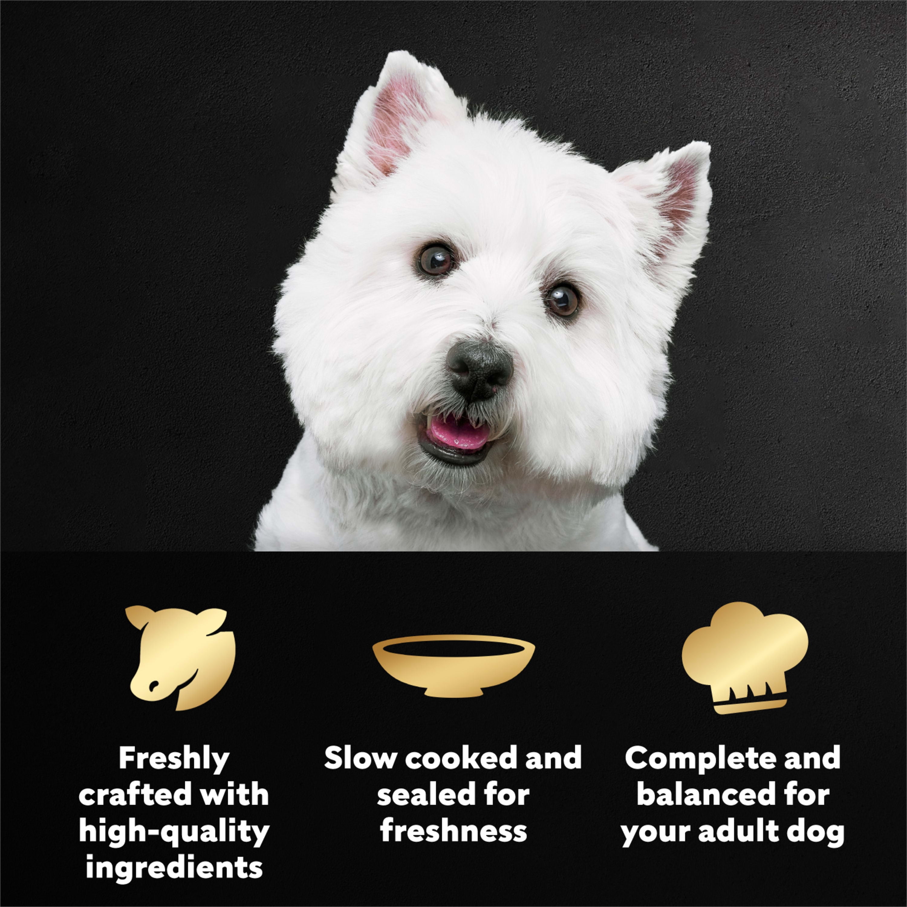 CESAR Wet Dog Pouch Porterhouse Steak 1ct