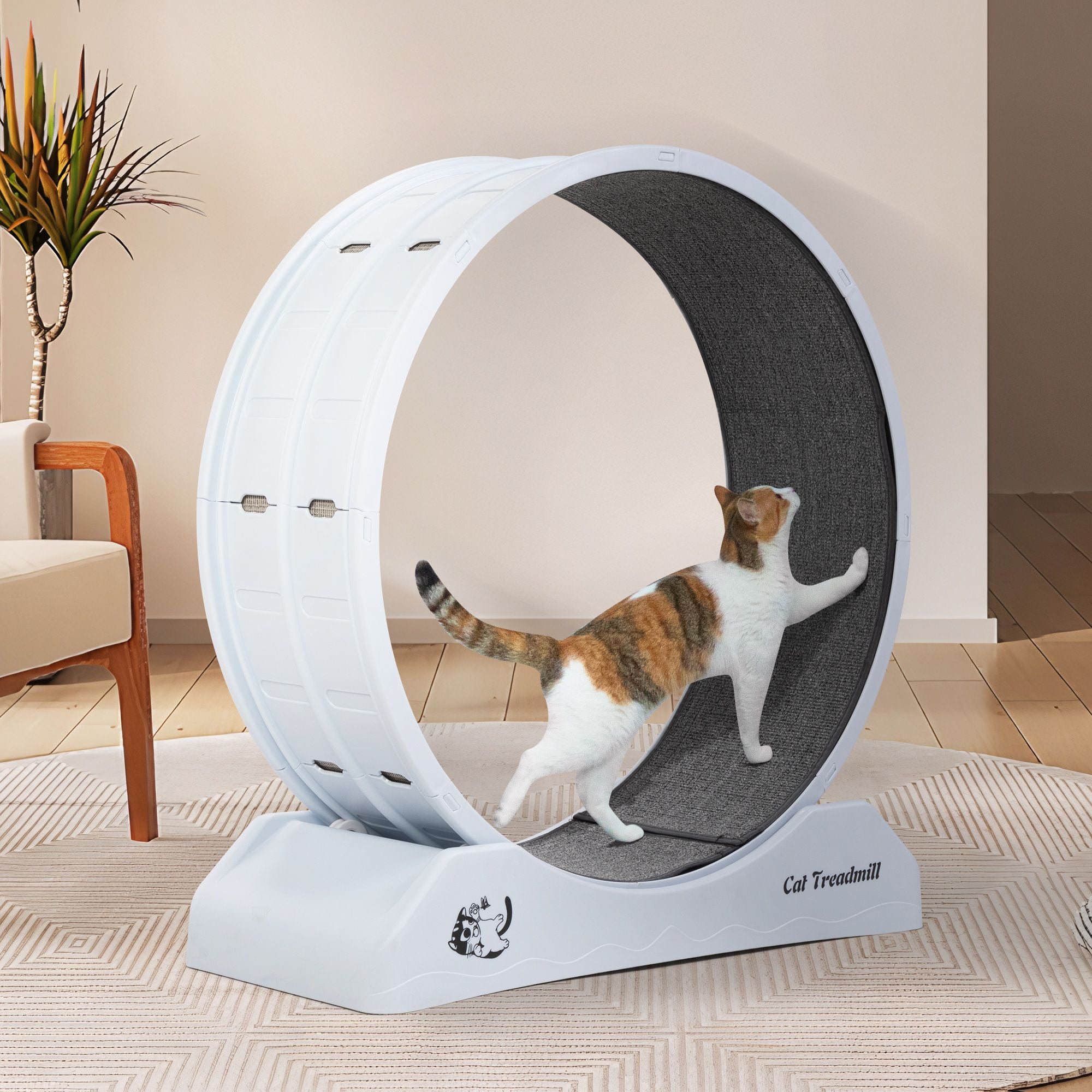 resenkos 31" Cat Exercise Wheel for Indoor Cats, Large Cat Running Wheels, Easy Assembled Cat Treadmill Wheel with Locking Mechanism, Ultra-Quiet Running for Cat‘s Healthy, White
