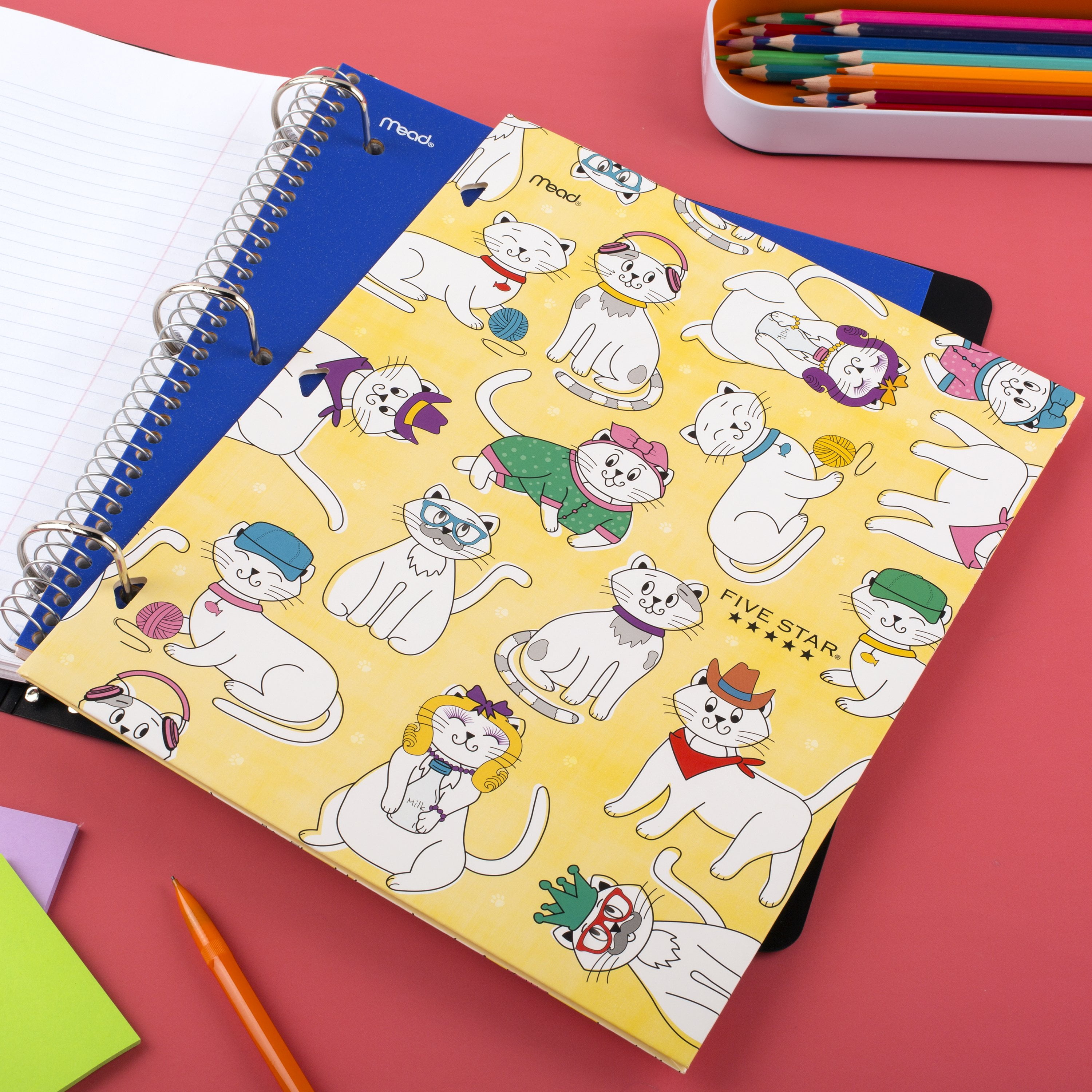 Five Star Cats 4-Pocket Paper Folder