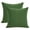 Emerald Green, variant on Alchemic Living Set of 2 Black Luxurious Soft Velvet Rectangle Pillow Covers 20x30 Inch (50x75 CM) - Solid Decorative Concealed Zipper Cushion Covers for Sofa, Couch, Living Room