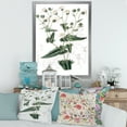 thumbnail image 3 of Designart 'Ancient Plant Life XXII' Traditional Framed Art Print, 3 of 4