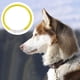 thumbnail image 2 of Collar de perro LED Up Arnés cuello Correa brillante Amarillo Gloria Collar luminoso, 2 of 8