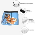 thumbnail image 4 of Lsque Bluey Pattern Men’s Total Support Pouch Boxer Briefs, X-Temp Cooling, Moisture-Wicking Underwear, Regular, Long-leg and Trunk-Small, 4 of 7