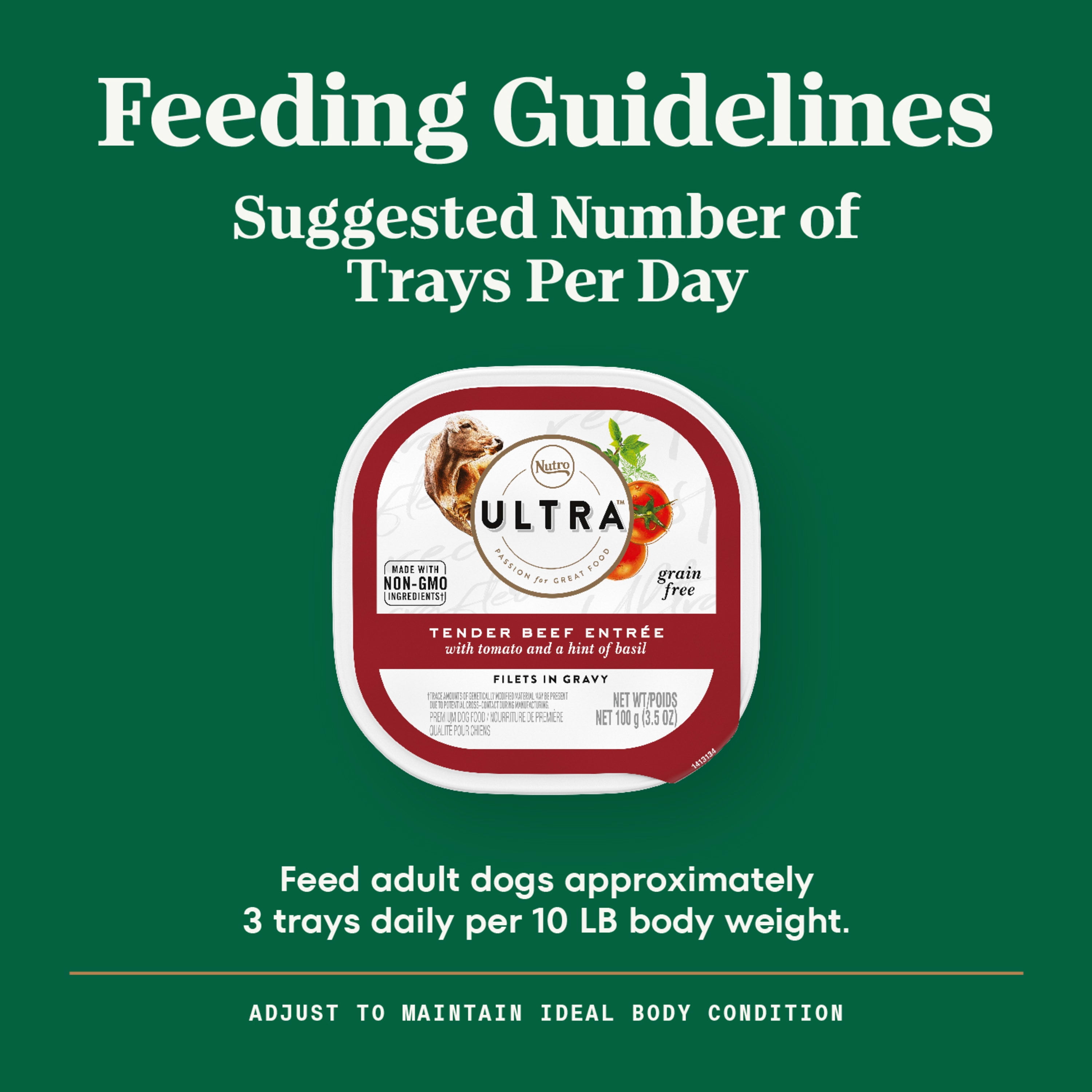 Nutro wet dog food walmart hot sale