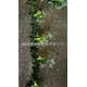 thumbnail image 1 of Rose rattan light string LED foam small white flower rattan light string wedding indoor balcony decorative light, 1 of 5