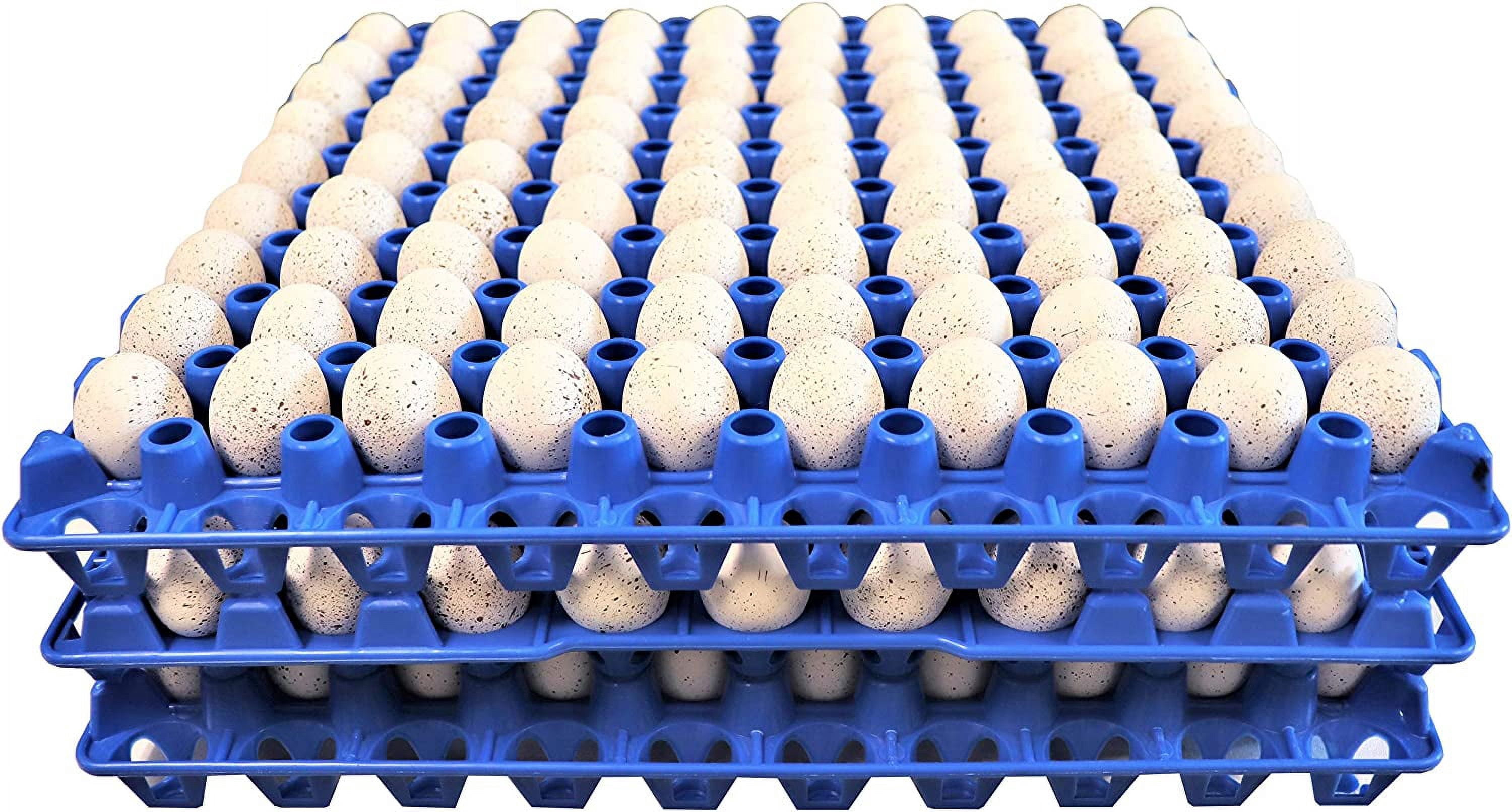 WJSP 6 Pack 90 Egg Plastic Trays 12.38x12.38x1.25in for Quail Pigeon Dove Bird Flat Carton Washable Heavy Duty