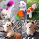 thumbnail image 3 of 80g Dyeing Pet Dog Cat Animals Hair Coloring Dyestuffs Pigment Agent Supplies, 3 of 5