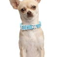 thumbnail image 2 of Collier Ras du Cou Réglable pour Chiots Chiens et Chats Design en Cuir Confortable, 2 of 4