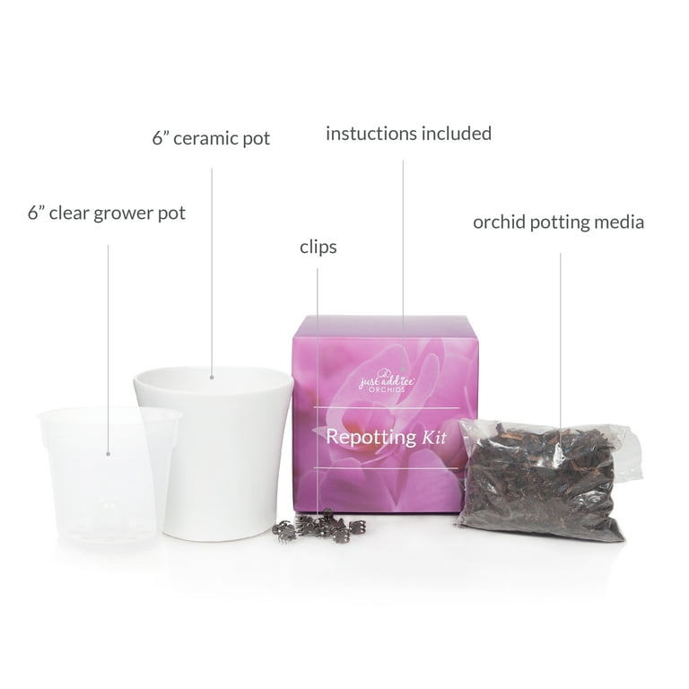 orchid‪‪ 様 Rady 大理石ボックス 6点セット orchid‪‪ 様 Rady 大理石ボックス 6点セット orchid‪‪ 様 Rady 大理石‬‬‬‬