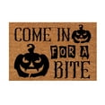 thumbnail image 1 of ILJNDTGBE Mat Holiday Mat Welcome Door Mat Polyester Door Mat 8x10 Plush Area Rug under Bed Rugs for Area Rugs Living Room, 1 of 8